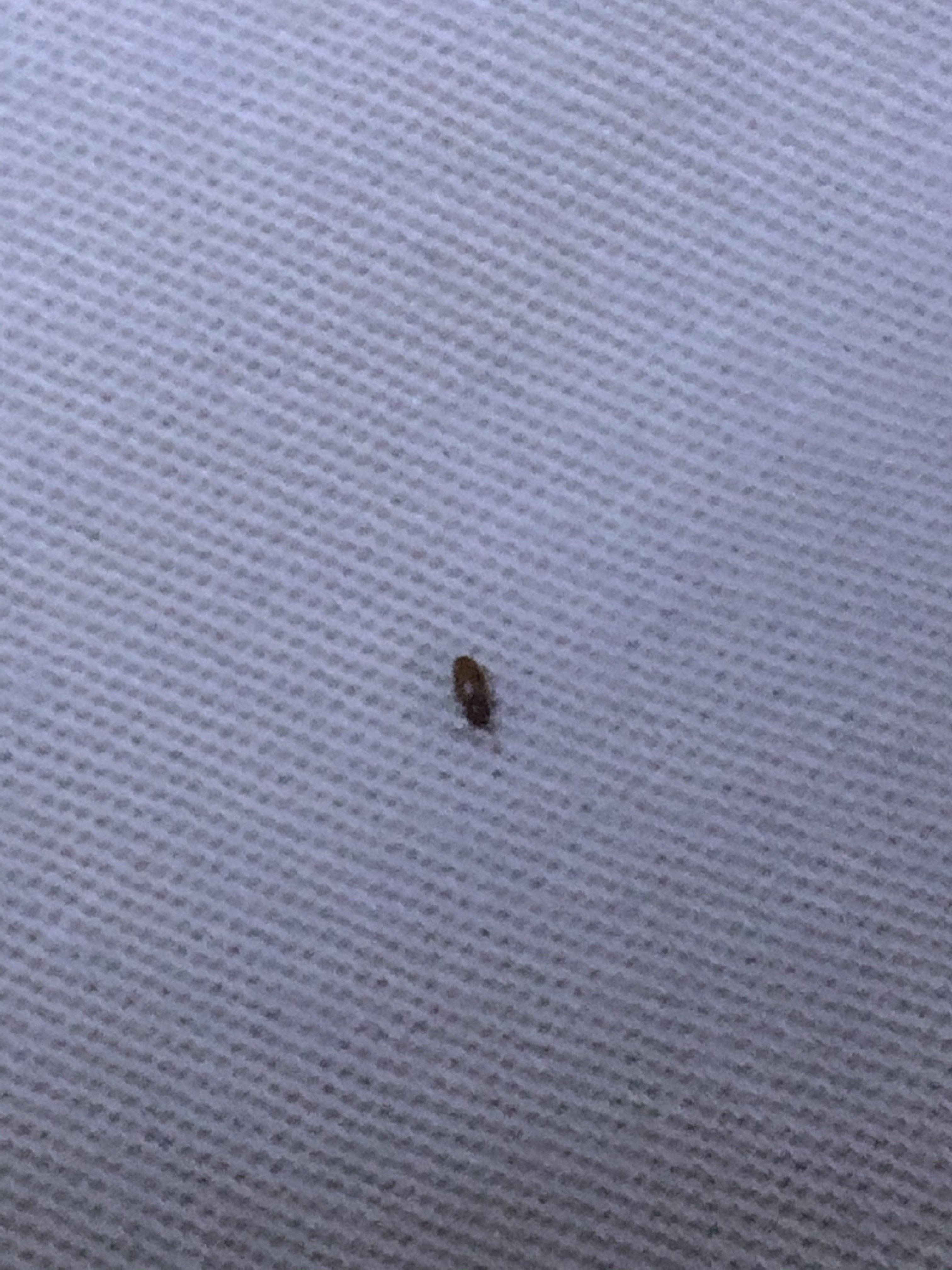 娱乐生活 第3页