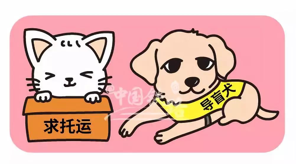 龟走丢了会自己回来吗龟走丢了会自己回来吗？揭秘乌龟的生存智慧与归家之谜
